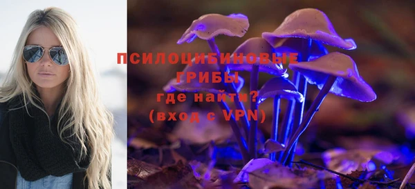 ешки Мегион