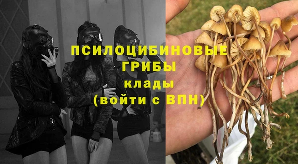 не бодяженный Магадан