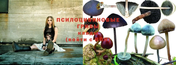 не бодяженный Магадан