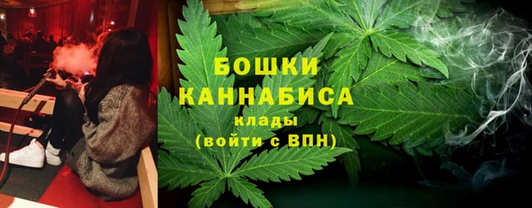 гидра Медногорск